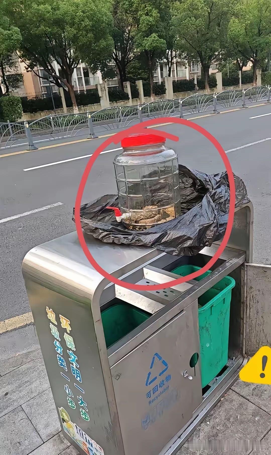 浙江一名男子走在街边，路过路边的垃圾桶时，眼角余光瞥见桶顶上摆着一只大玻璃罐。隔