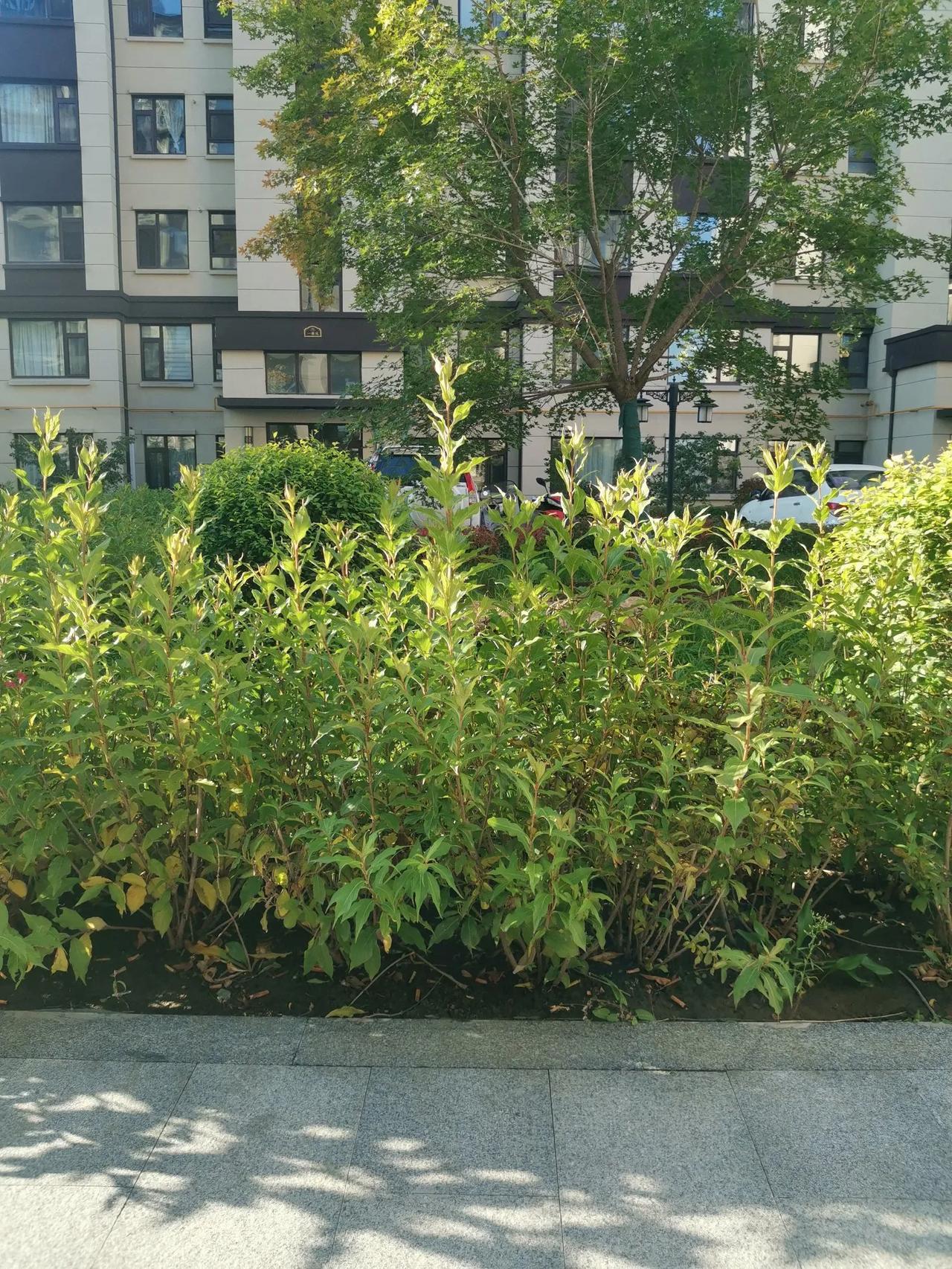 人如一叶孤舟，漂浮摇曳，却无法左右自己的航向，真能如心初始的方向大体一致，也是一