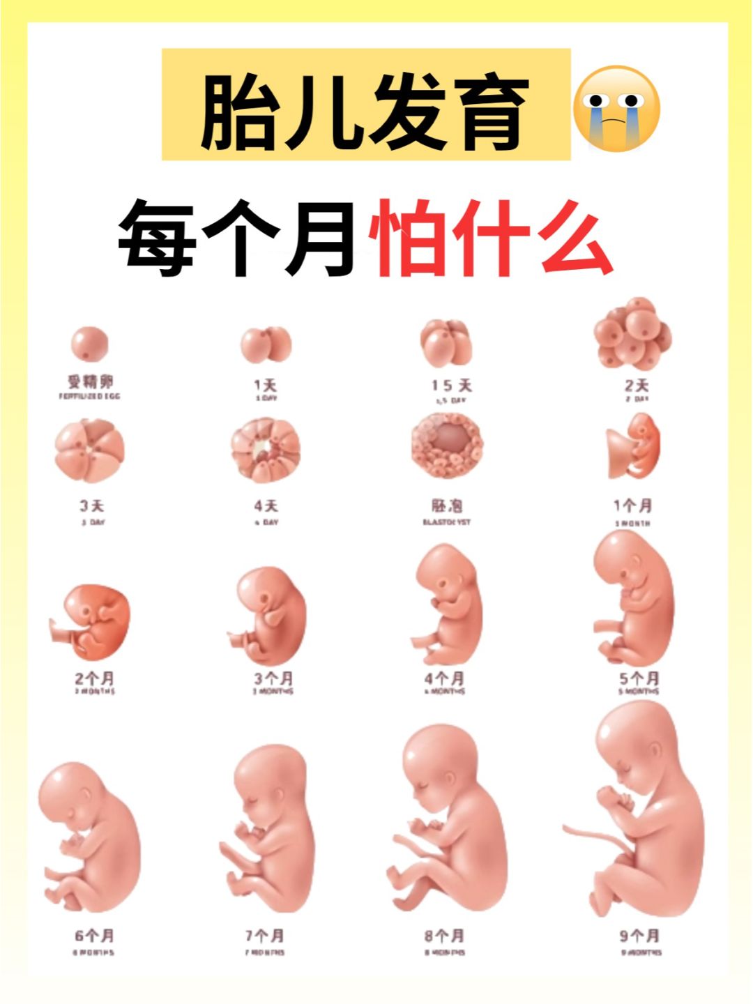 孕妈须知❗️怀孕期间胎儿每月有一怕