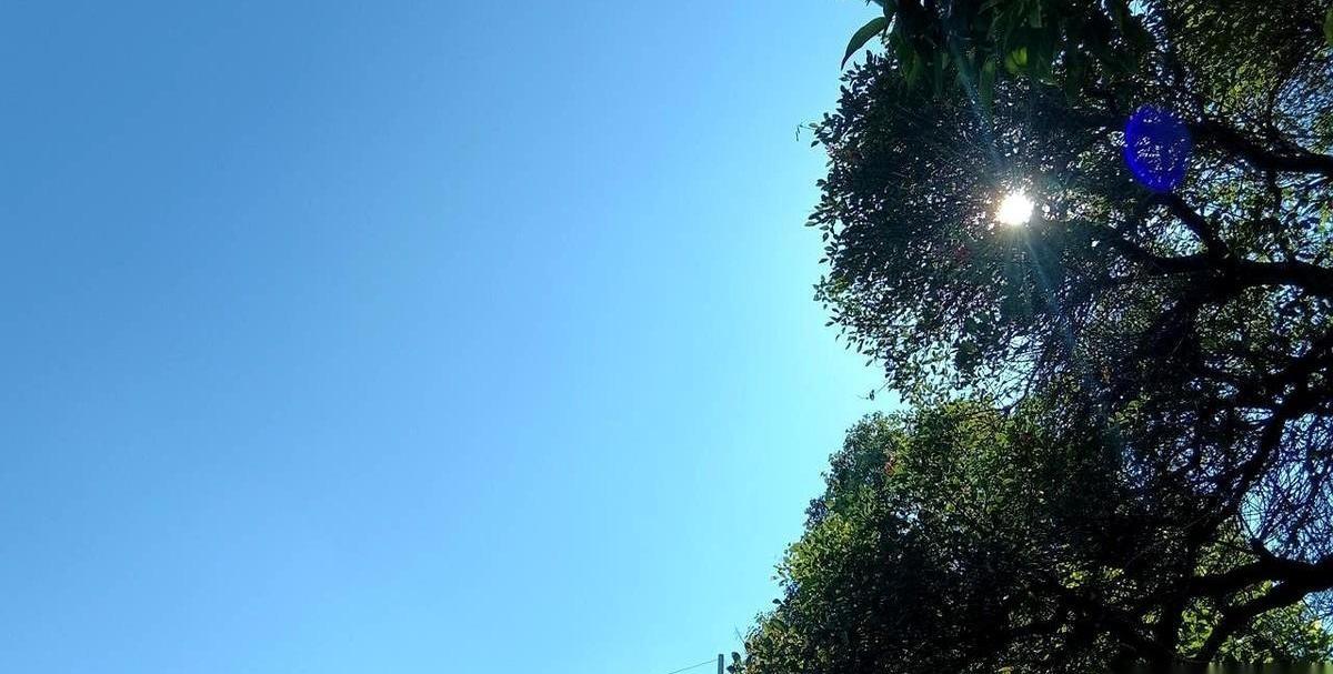 现在想转让一家药店，比登天还难。
挂出去半年都没人敢接盘，问题就出在那个曾经最值