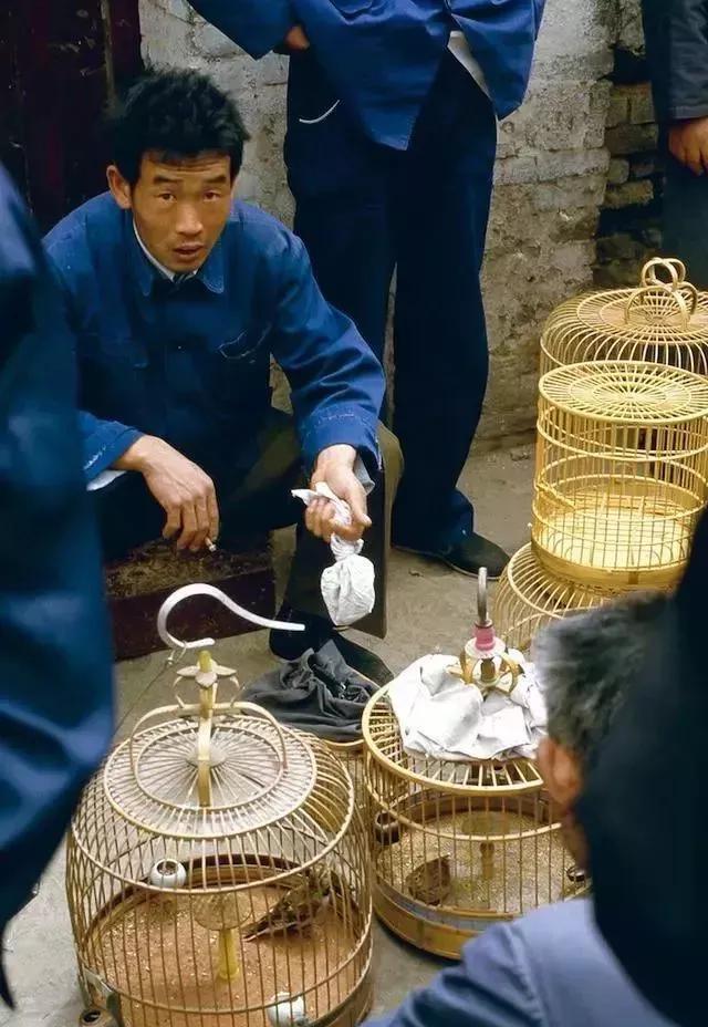 真实的80年代，其实是这个样子！不要被电视剧骗了

农贸市场，活羊拴桩，驴驮菜进