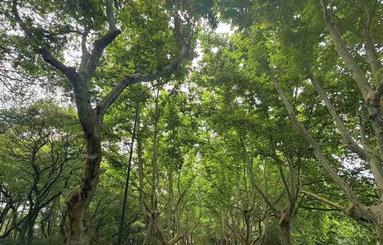 我的今日状态：😁轻松愉快
我这里的天气：☀️晴天