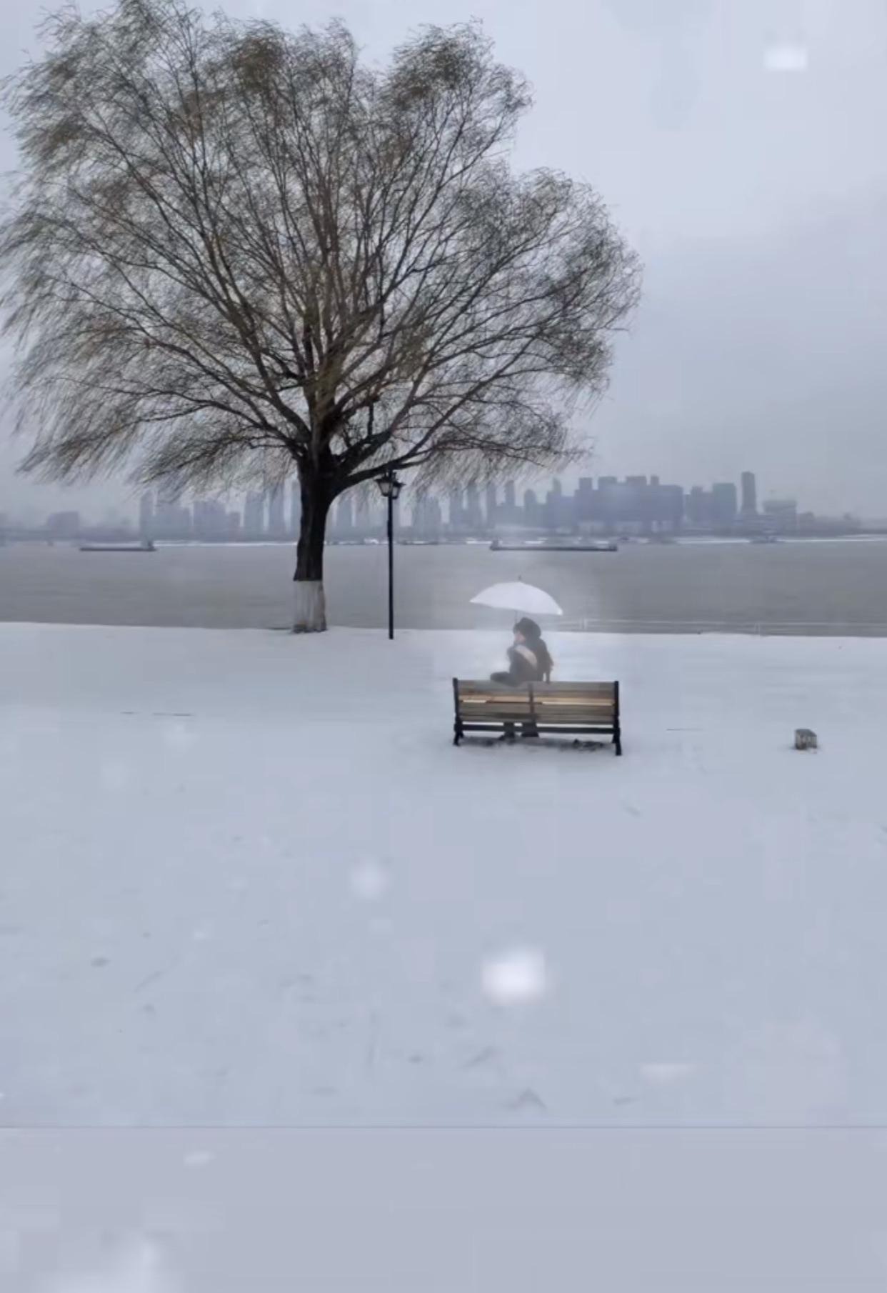 为什么会有散黄儿鸡蛋？刚刚看电视，有专家说，鸡蛋散黄儿，是因为长途运输造成的。这