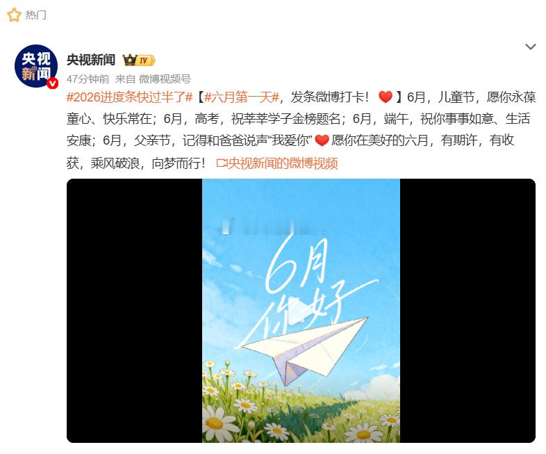 六一儿童节到了，意味着，今年的时间已经快要过去一半了至于今年的目标、任务完成度，