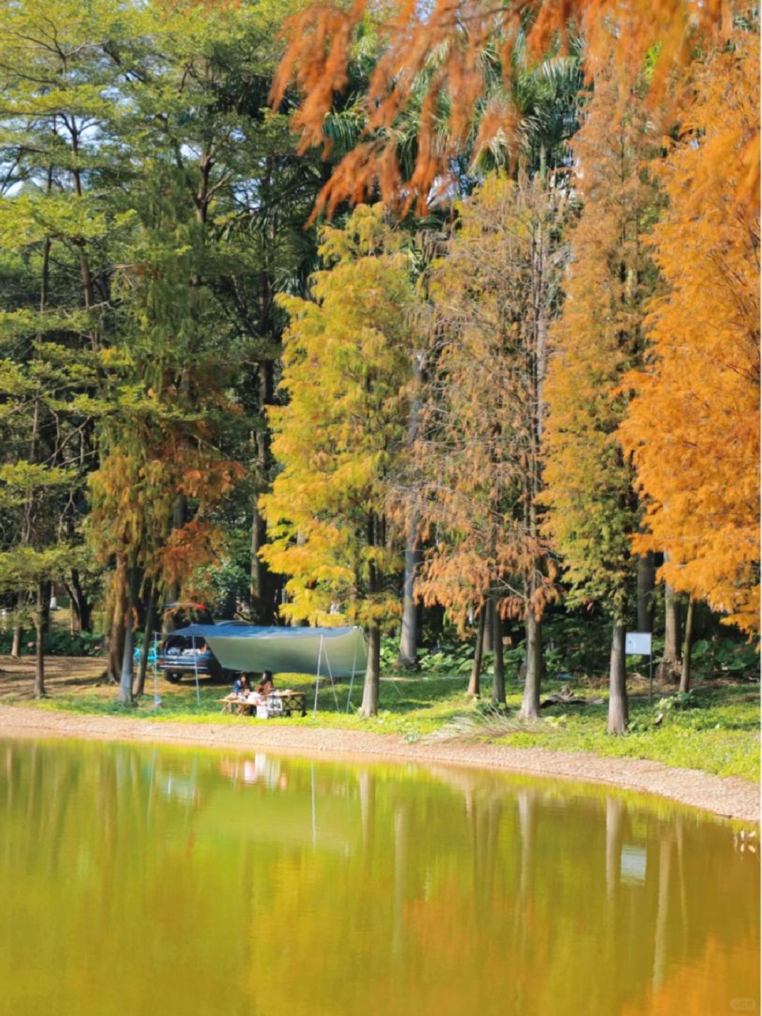 广州8⃣️个免费小众露营地🏕️可明火🔥有🚻