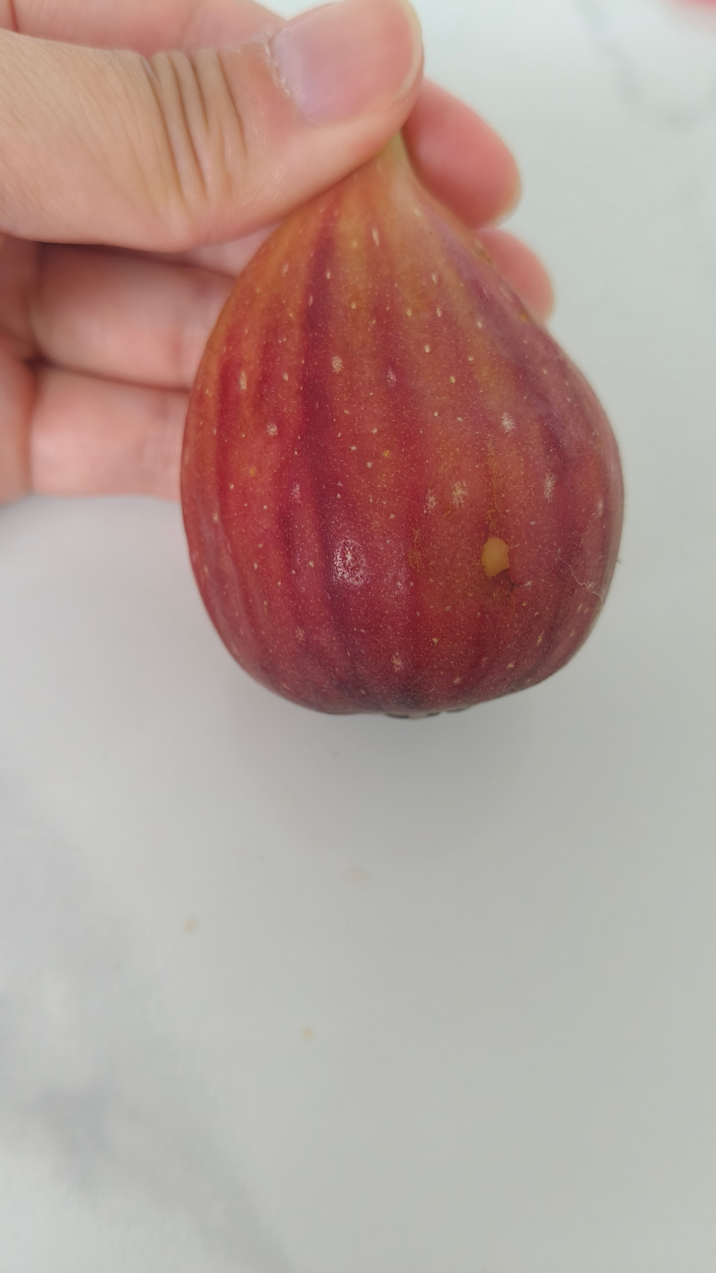 森林禾沐[超话] 难吃的水果又加1 ​​​
