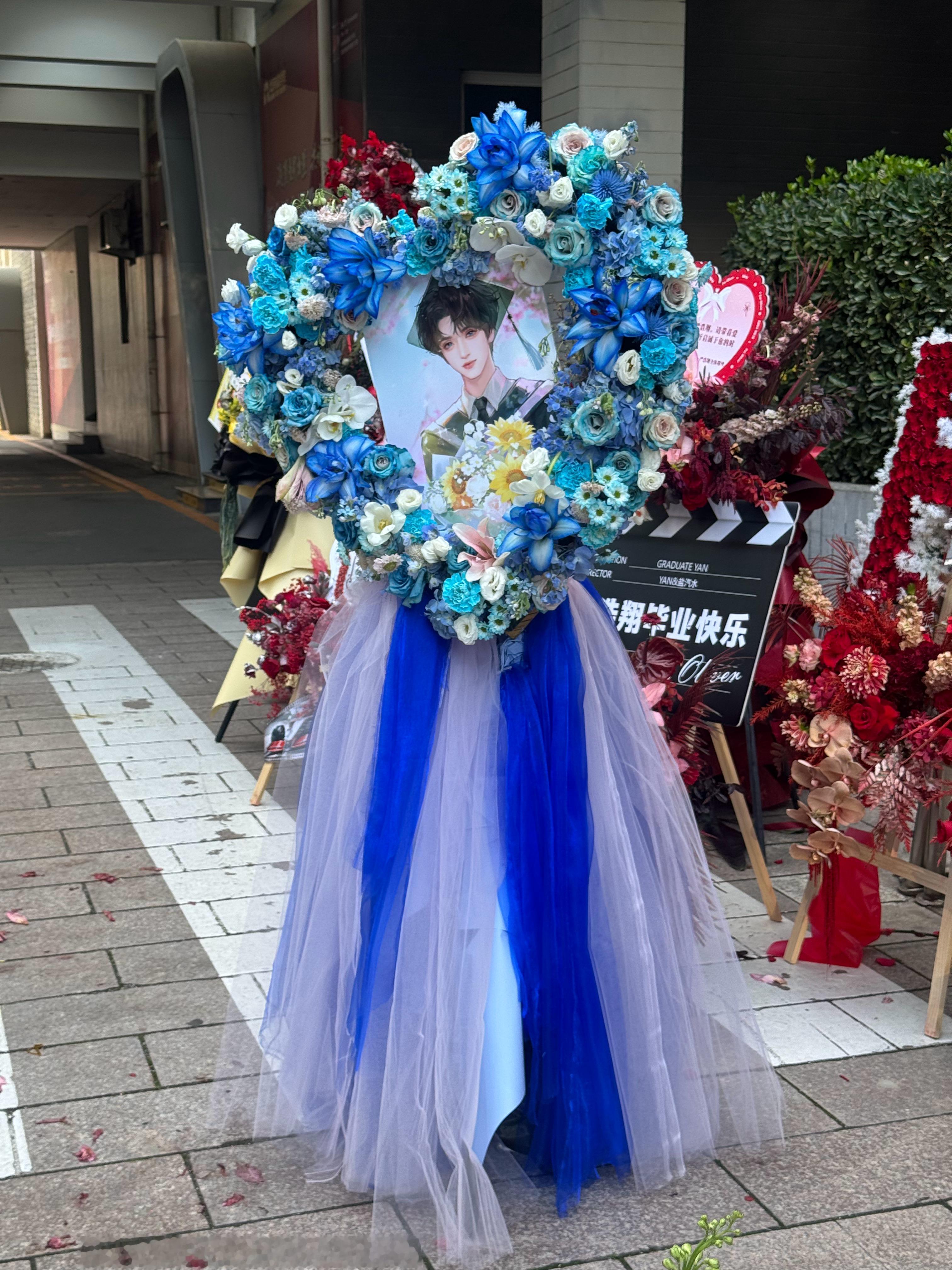 太美了 