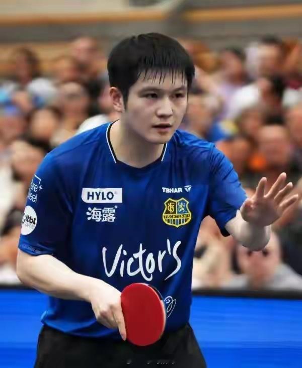 2025年6月加盟德甲萨尔布吕肯的樊振东，三个月内让德媒称呼完成从“票房磁铁”到