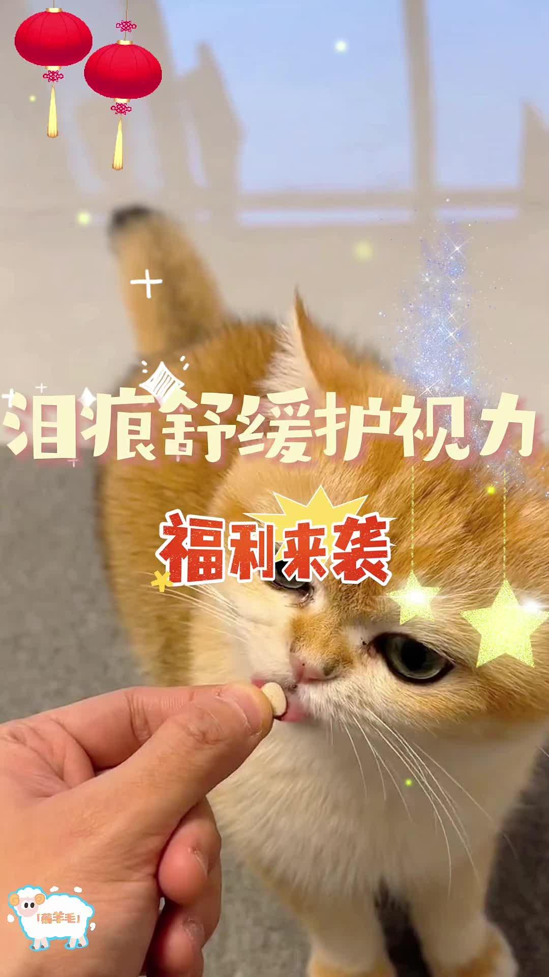 猫咪眼睛常年有这种褐色分泌物，就需要吃叶黄素片来调节了，里面还含有牛磺...