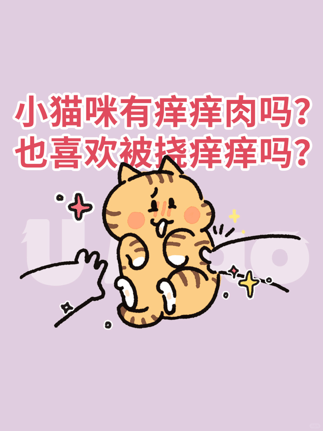 小猫咪有痒痒肉吗？也喜欢被挠痒痒吗？