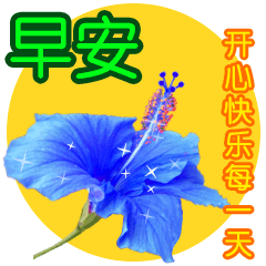 家人们早上好，周五啦 
