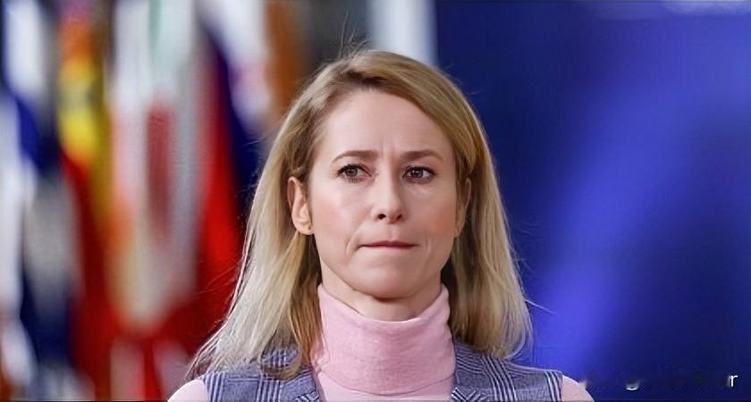 紧急发声！在俄罗斯“榛树”高超音速导弹打击乌克兰后，欧盟外交与安全政策高级代表卡