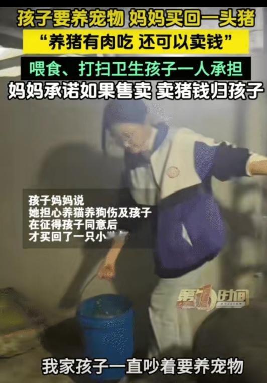 “太有经济头脑了！”贵州平塘，孩子要养宠物。没想到，妈妈买回一头猪让孩子养。妈妈