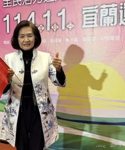 台岛所谓“国民党籍宜兰县长林姿秒被所谓“检方”求处20年有期徒刑，不排除赖清德绿