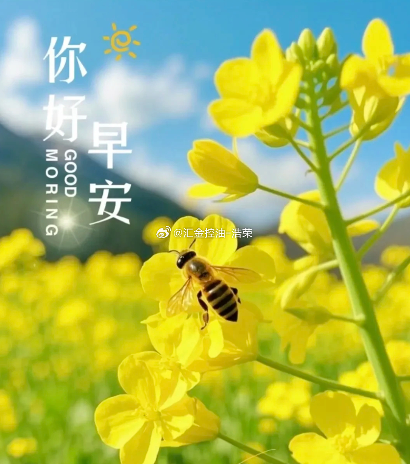 周二 不辜负生活，不迷失方向。不嫉妒别人，不看轻自己，岁月静好，别来无恙，人间值