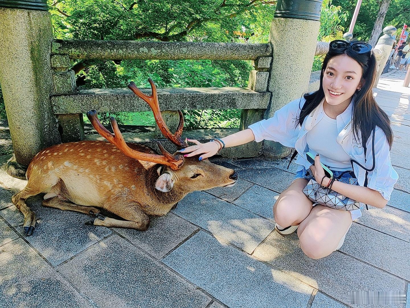 奈良的小可爱们太热情了，抢吃的时候让人招架不住[允悲]幸亏角下留情没顶我 ​​​