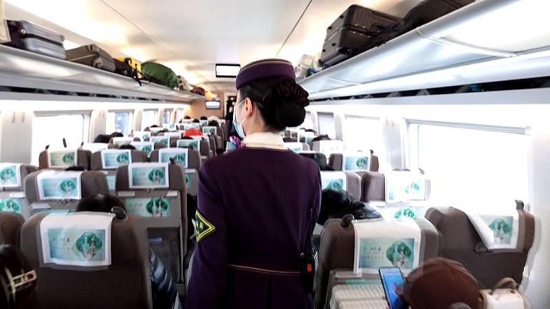 高铁惊魂  女老板百万珠宝行李箱凭空消失  乘警紧急拦截  真相让人意外

朋友
