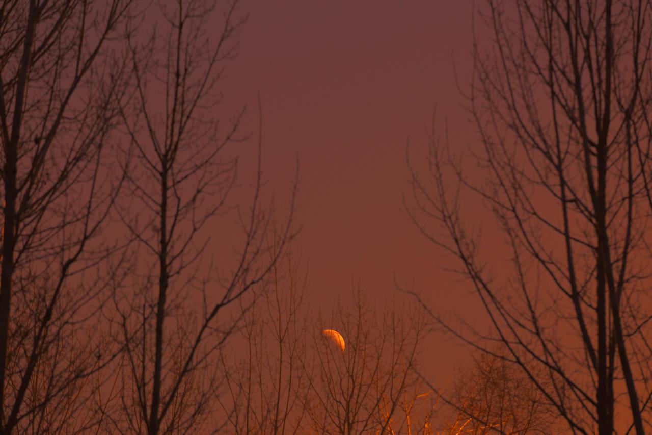 元宵节的红月亮。2026年3月3日正月十五元宵佳节，一场罕见的月全食惊艳天空。幸