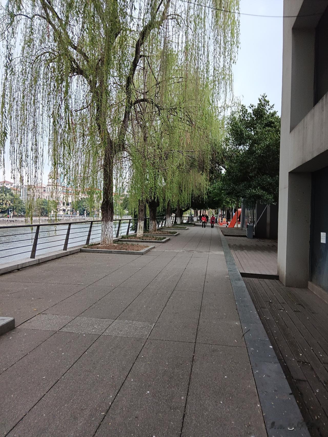 柔柳，是春天的信使

活泼的你

健康的你

乐观的你

善良的你

收到了这春