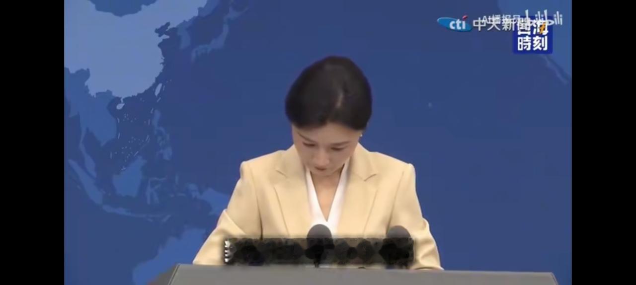 台湾记者提问，北京是首都对应也应该是首都。
沈博洋当选台北市长愿意对接《双城论坛