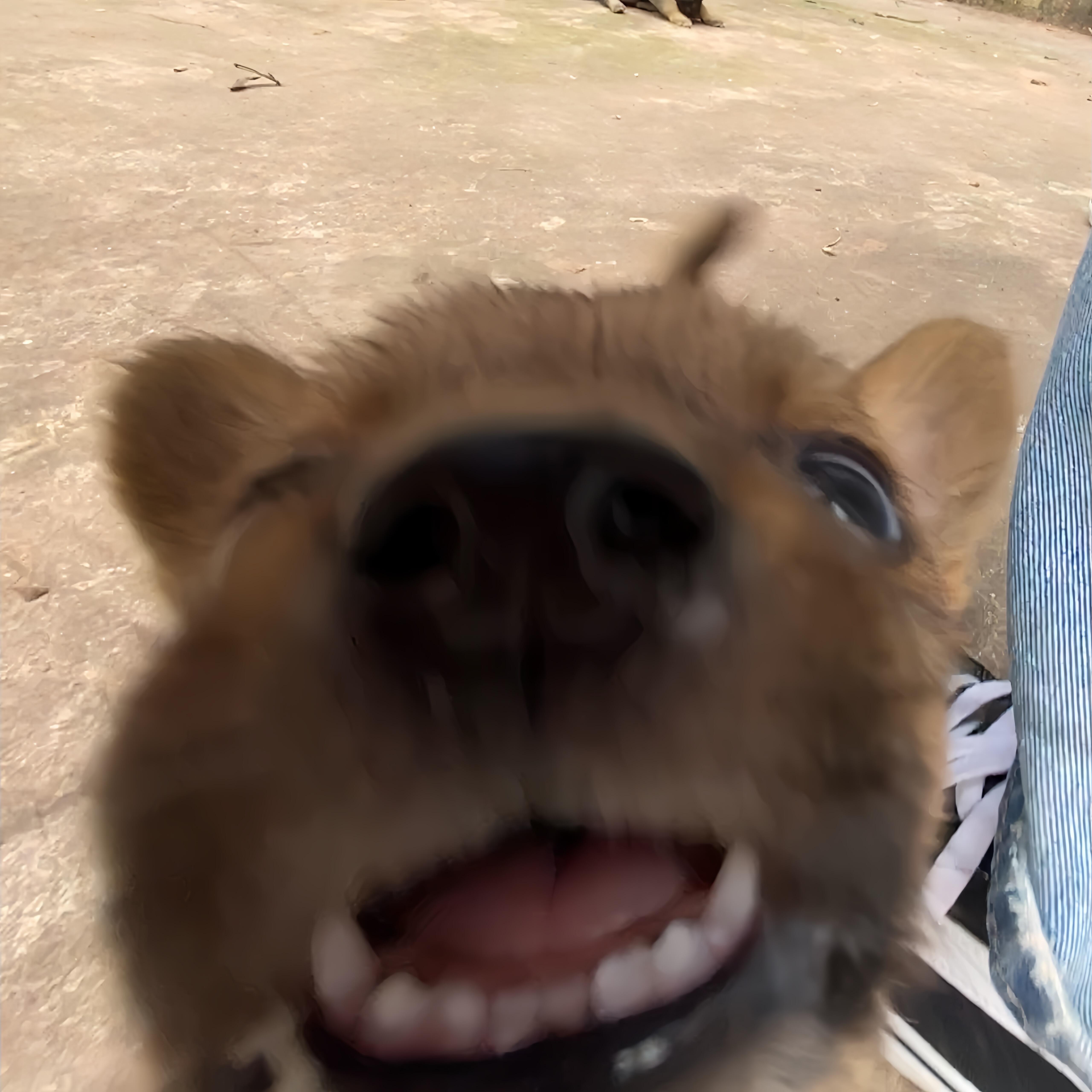 人！起床！ ​​​