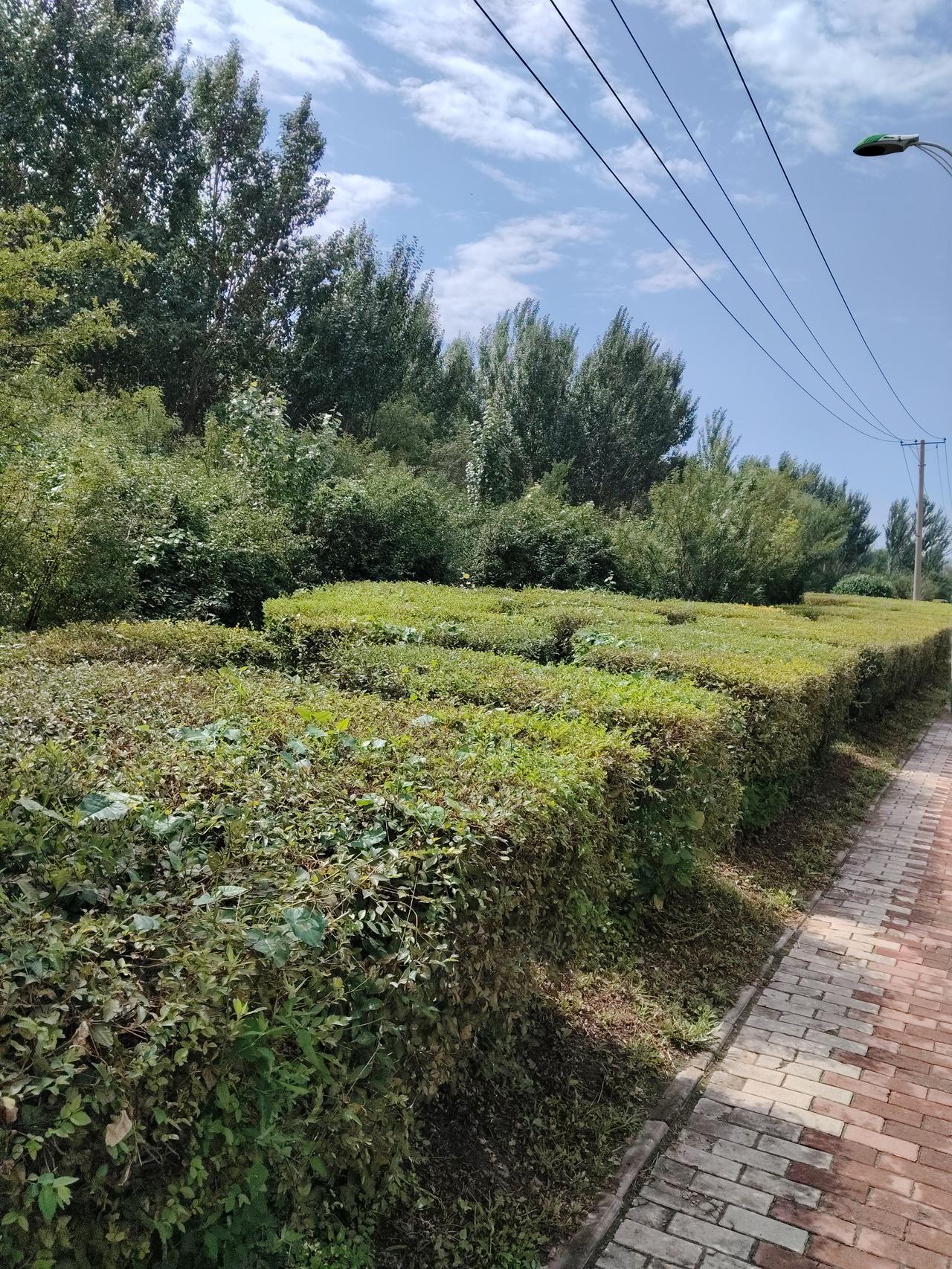 清晨，阳光穿过窗户，新的一天开始了！每天醒来都是一次重启，就像游戏里满血复活。