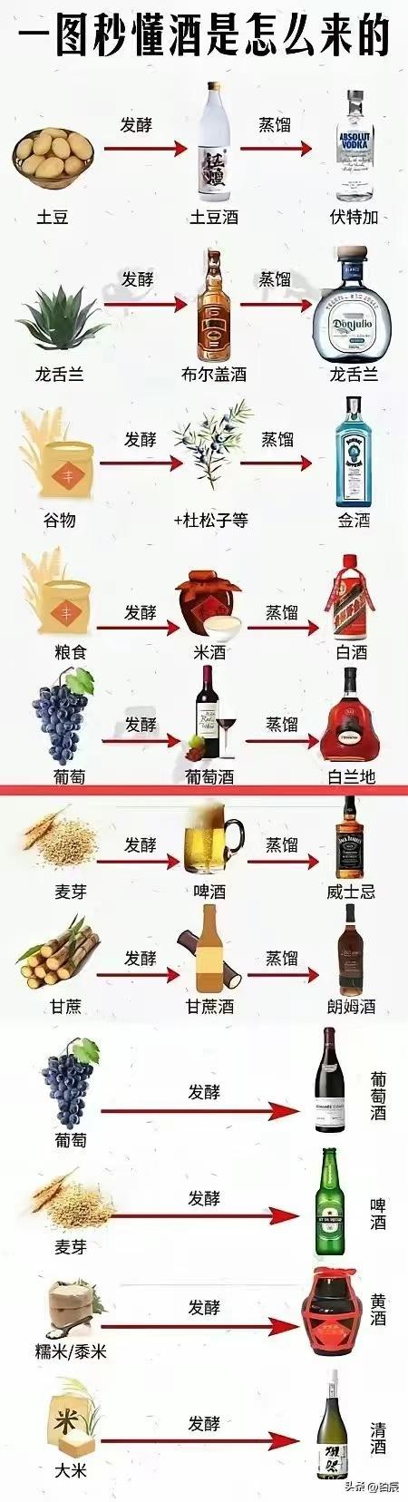 一图秒懂酒是怎么来的 ​