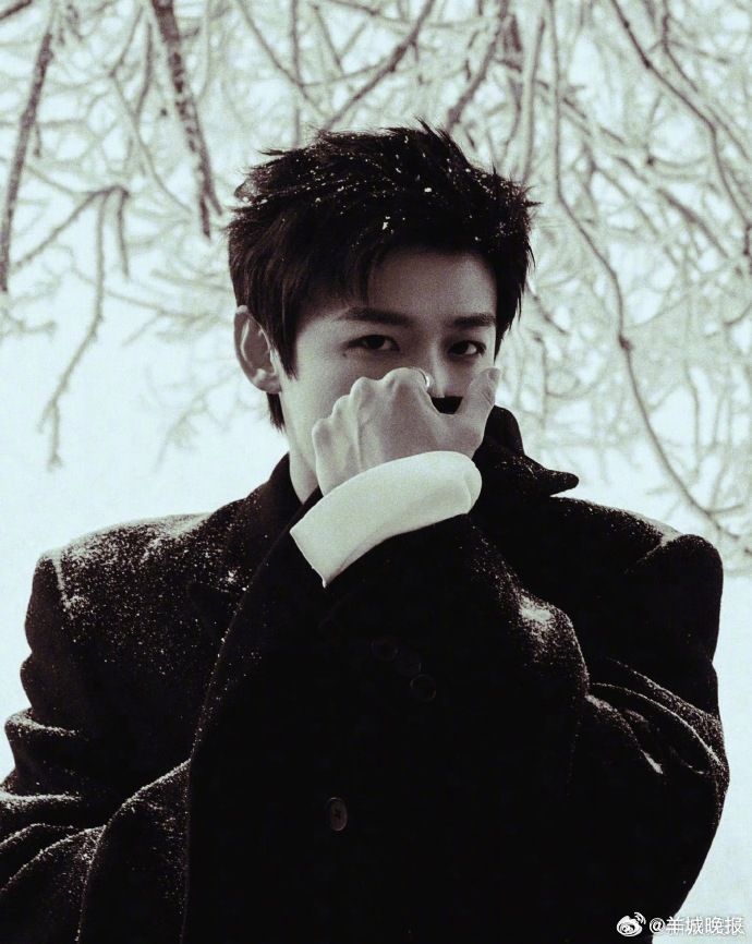 【明星雪景照大赏，谁的照片氛围感十足？】雪落无声，当纯白的雪花遇上星光熠熠的他们