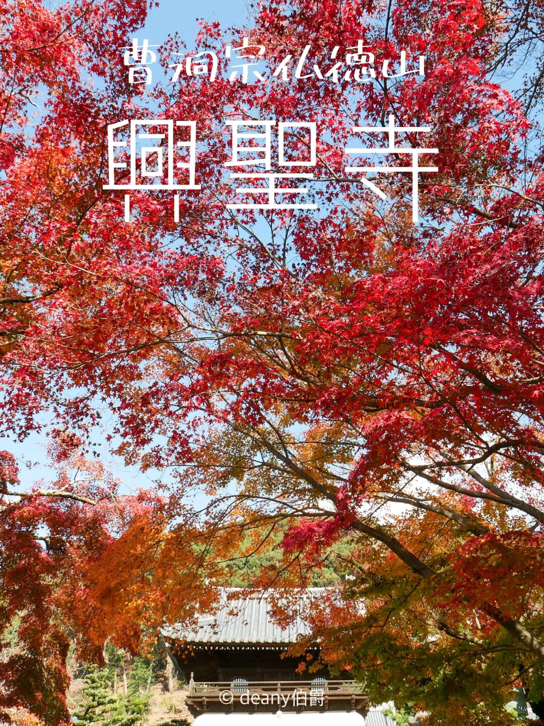 京都宇治红叶🍁兴圣寺