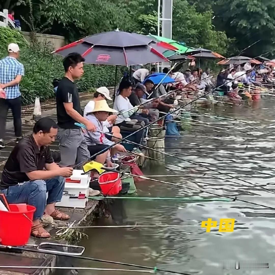 《泛滥》
天天有一大群人喊，国内流浪狗泛滥，是真的吗？这个问题躺在床上想都能想到