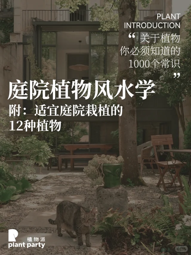 庭院植物风水学 | 适宜庭院栽植12种植物🌲