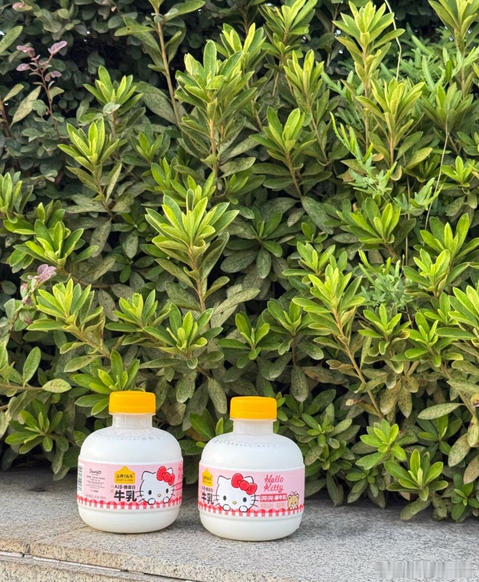 认养一头牛三丽鸥家族系列好可爱  必须按头安利这瓶让我一见倾心、再品倾倒的梦幻之