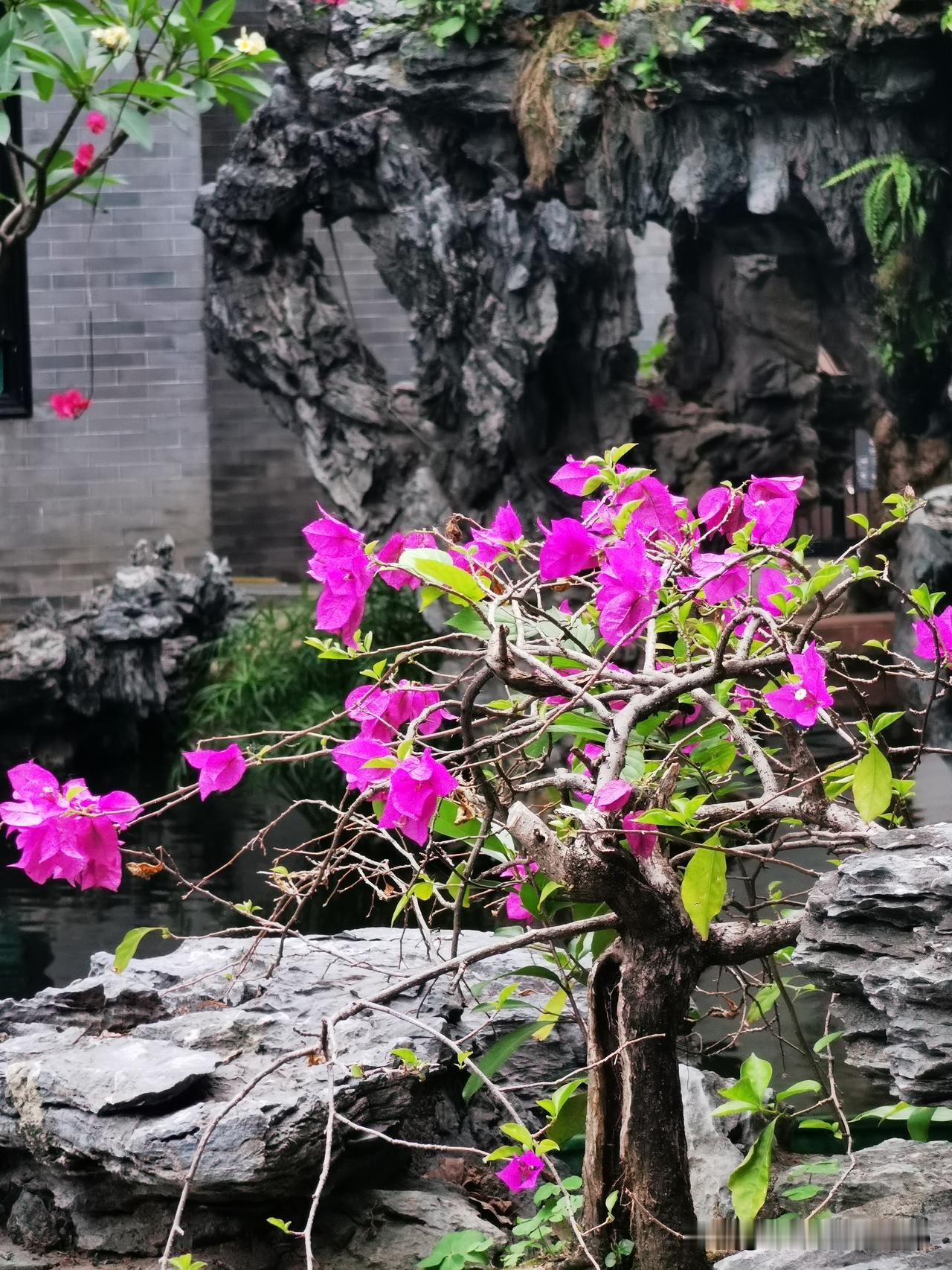 广州5月超级反常！阴天+阵雨+东北风，气温比去年低6-8℃，这是为什么？……
 