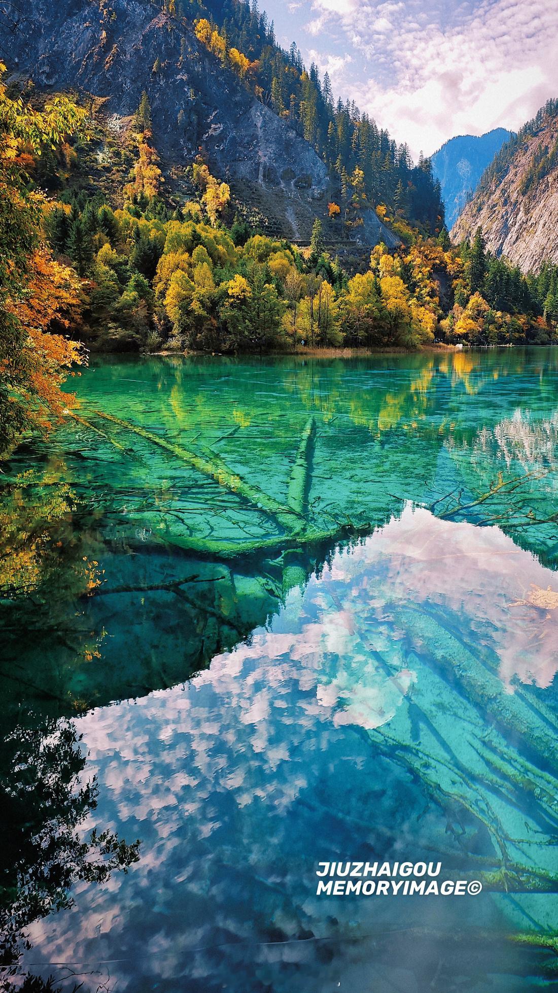 川西最好的季节，​我千里自驾寻秋第❶站｜阿坝九寨沟​今日即景，与你分享……​​M