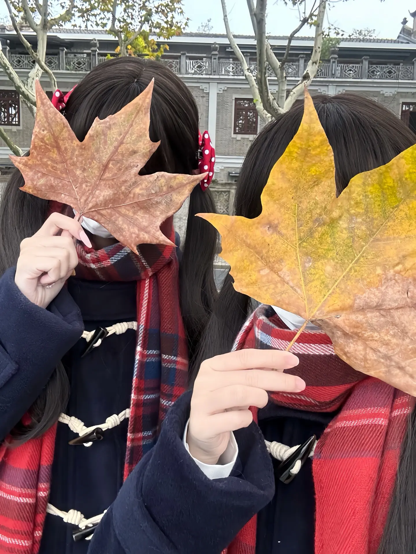 愿世间有棵无忧树 愿你我永远是同路
