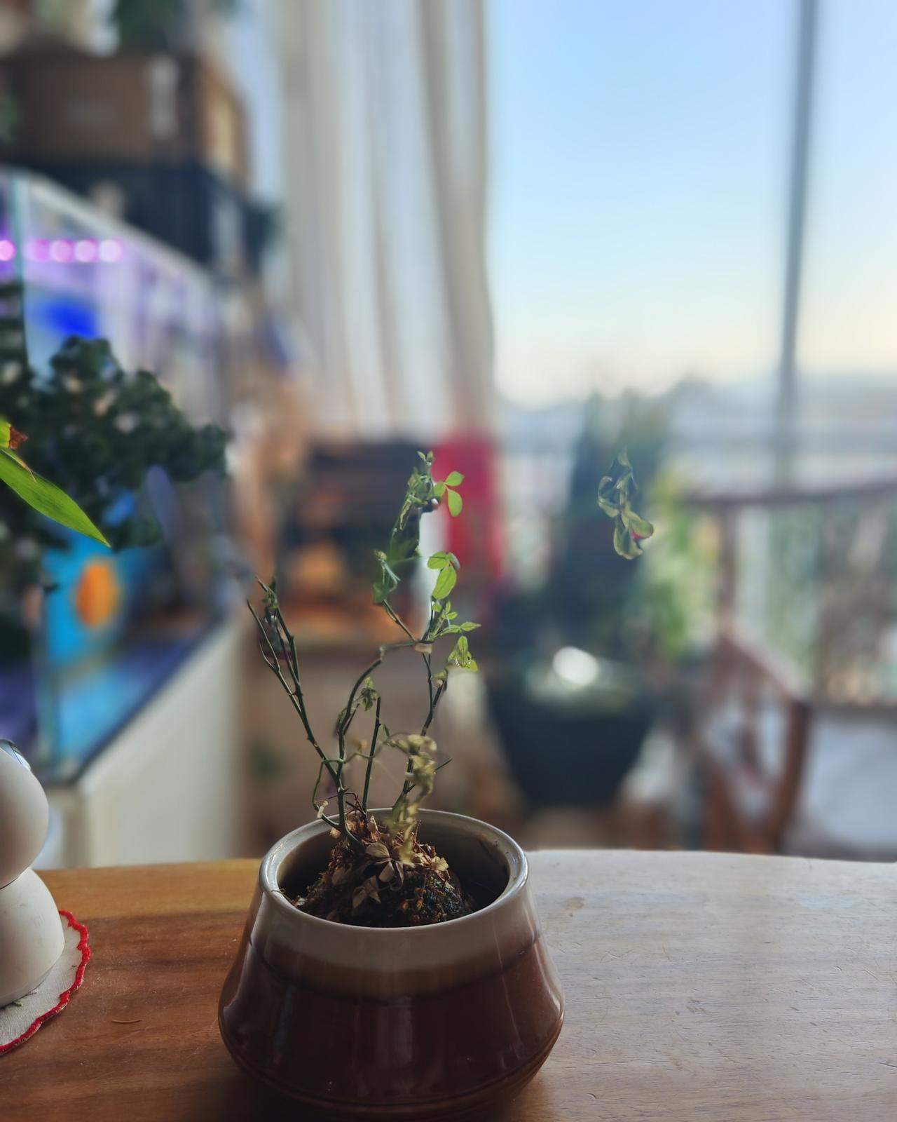 小时候，太爷爷给我讲过一个玄而又玄的故事，全当茶余饭后的谈资吧，至于是不是真事，