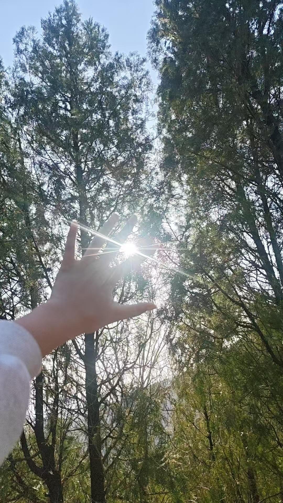 新年爱好打卡吃吃喝喝逛逛