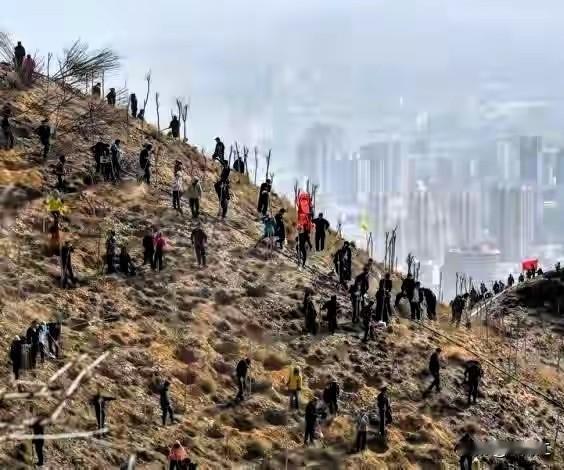 1989年4月14日和1990年4月14日，乌鲁木齐市连续两年同日组织义务植树活