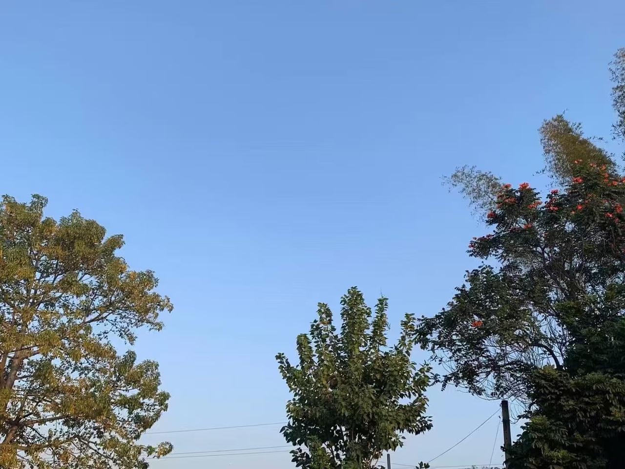 刘震云 曾说：“老鼠偷了人类的大米，人类说老鼠狡猾；人类偷了蜜蜂的蜂蜜，人类说蜜