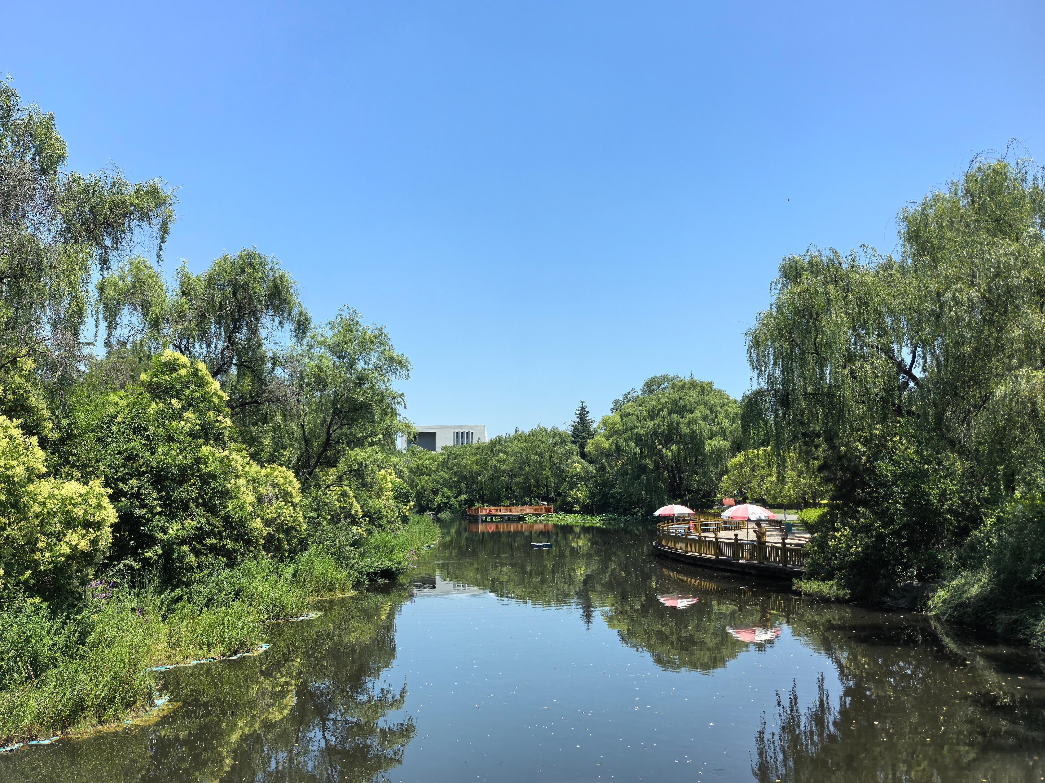 随手拍美景 荣儿的日常 一池清潭，满目葱茏，微风拂面，平凡日子也满是温柔小美好。