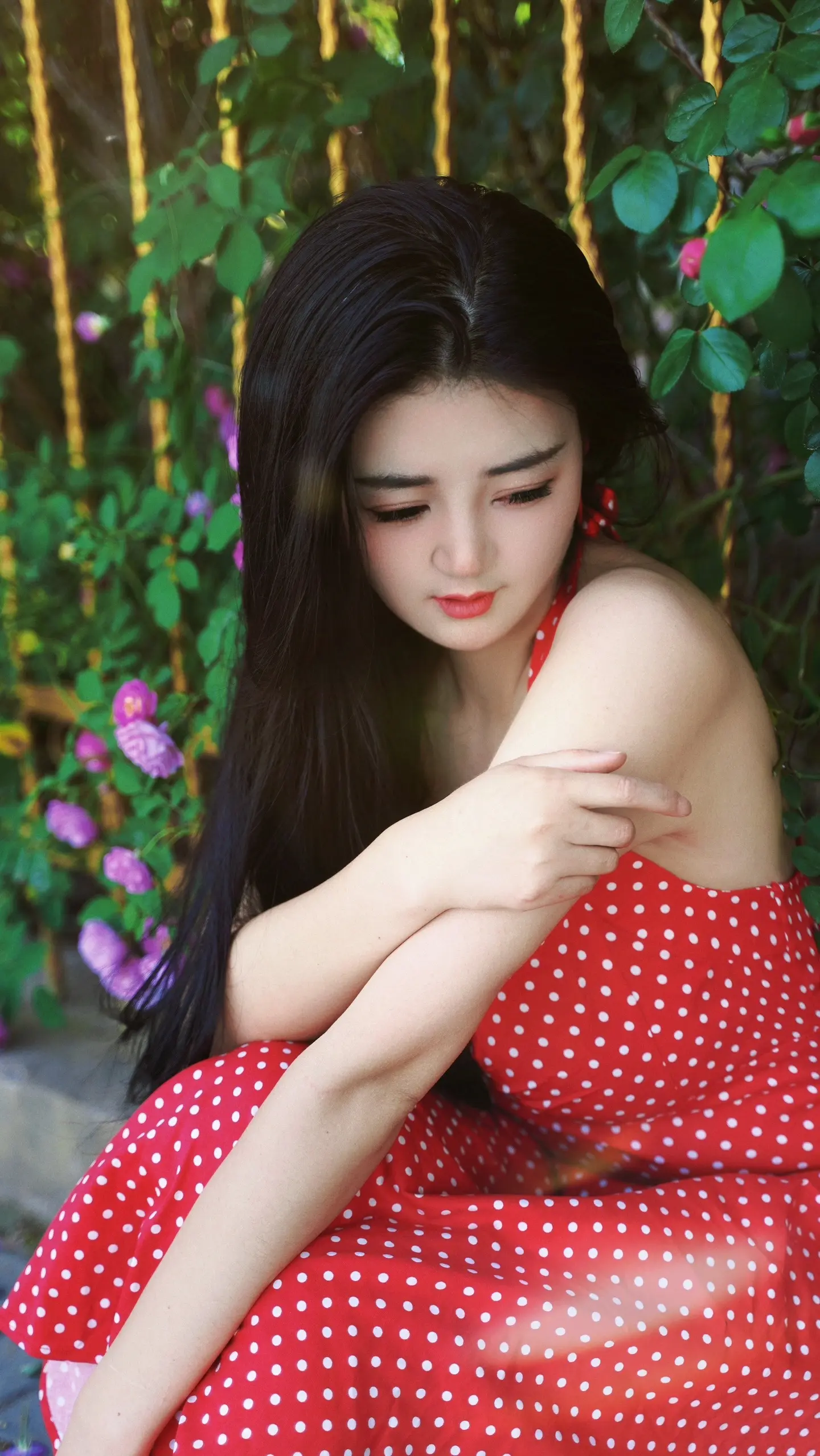 太和的蔷薇花开了，你还不找我拍照吗？