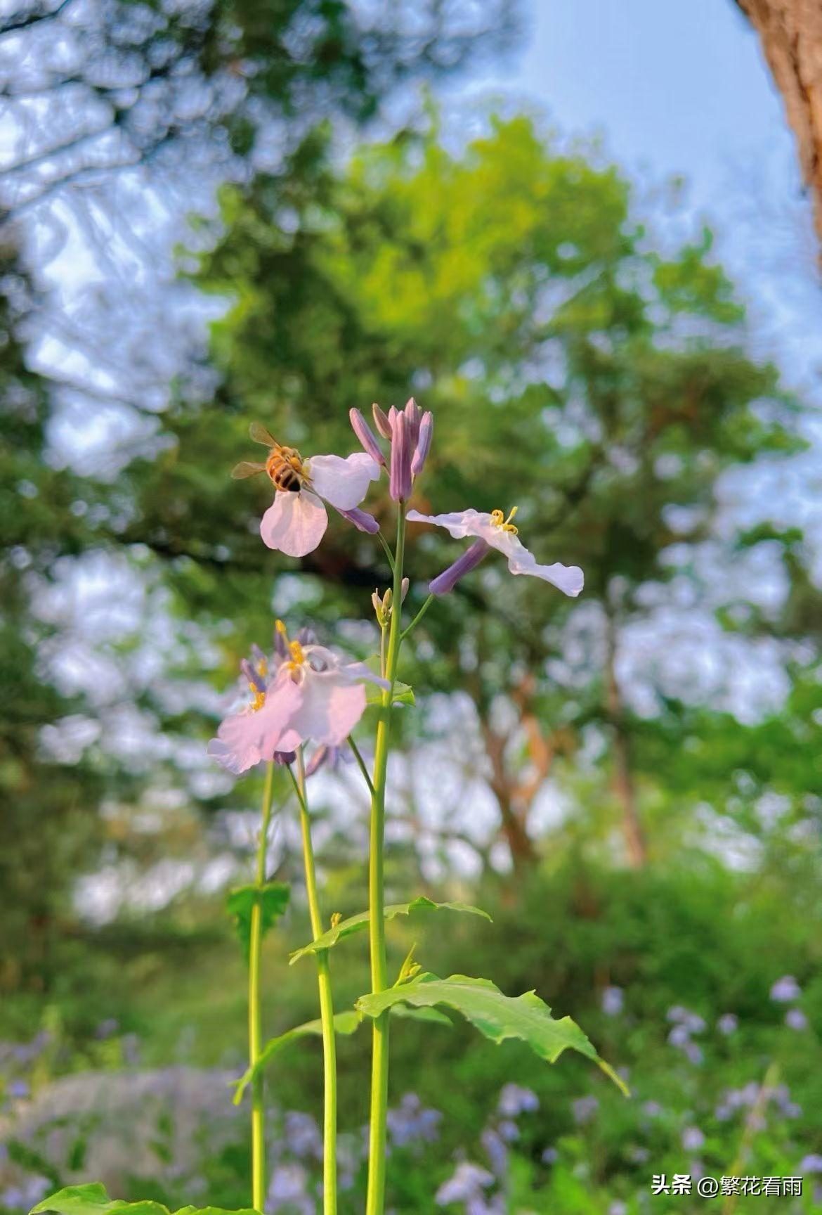马年的春，是从脚下这片土地开始苏醒的。不必奔赴远方，田埂上的一抹新绿、初开的黄花