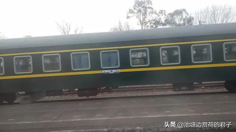 K1572次列车上的骨头炖酸菜火出圈 K1572次列车的骨头炖酸菜彻底火出圈啦！