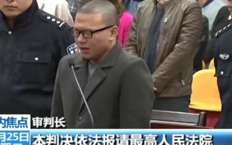 局长藏20把真枪才判3年！2014年，四川18岁小伙网购24支玩具枪被判无期徒刑