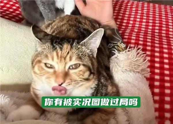 苹果客服回应实况定格画面 【苹果实况图被指精准选丑！客服回应：实况定格是系统判断