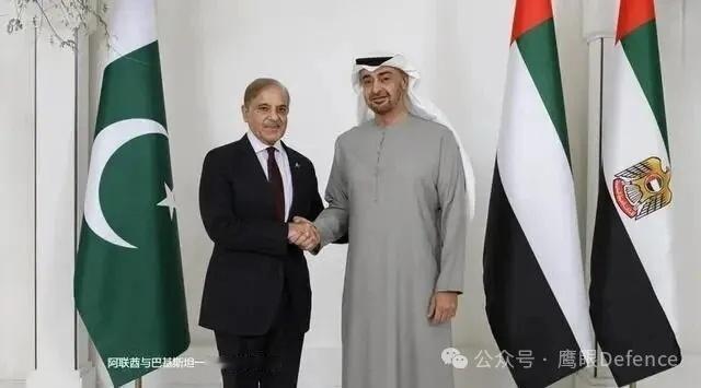 烽火问鼎计划 巴基斯坦政府在顾及了自己生死的同时，就无法顾及“金主们”的利益了，