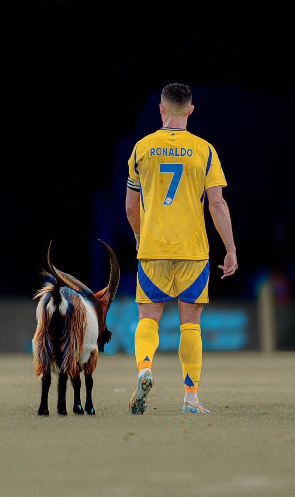 C罗c罗41岁生日c罗41岁生日快乐 🚨足坛历史在41岁进球最多的球员，C罗能