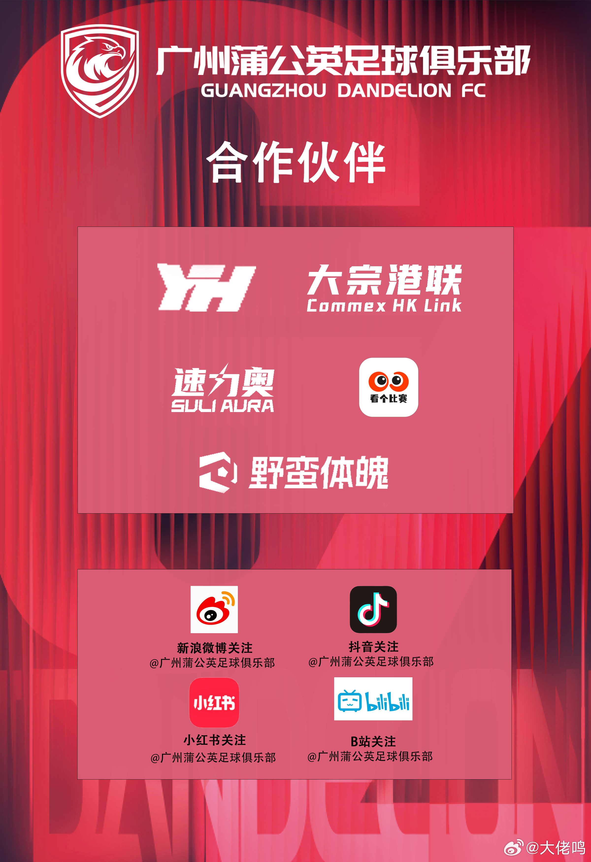 通过官宣看到了今年拥有的一众全新合作伙伴：包括YH sports、大宗港联、速力