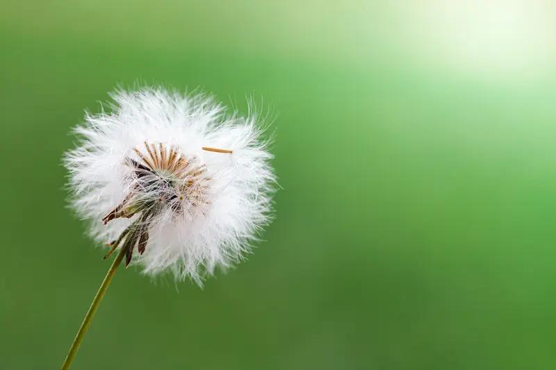 生命的本质，科学界说它是动态有序的耗散系统。新陈代谢就像城市物流，不断输入输出维