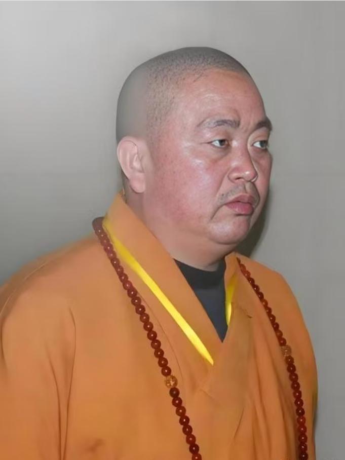 释永信这棵大树一倒，李湘慌不慌，咱不知道。但我敢说，现在最睡不着觉的，肯定是那些